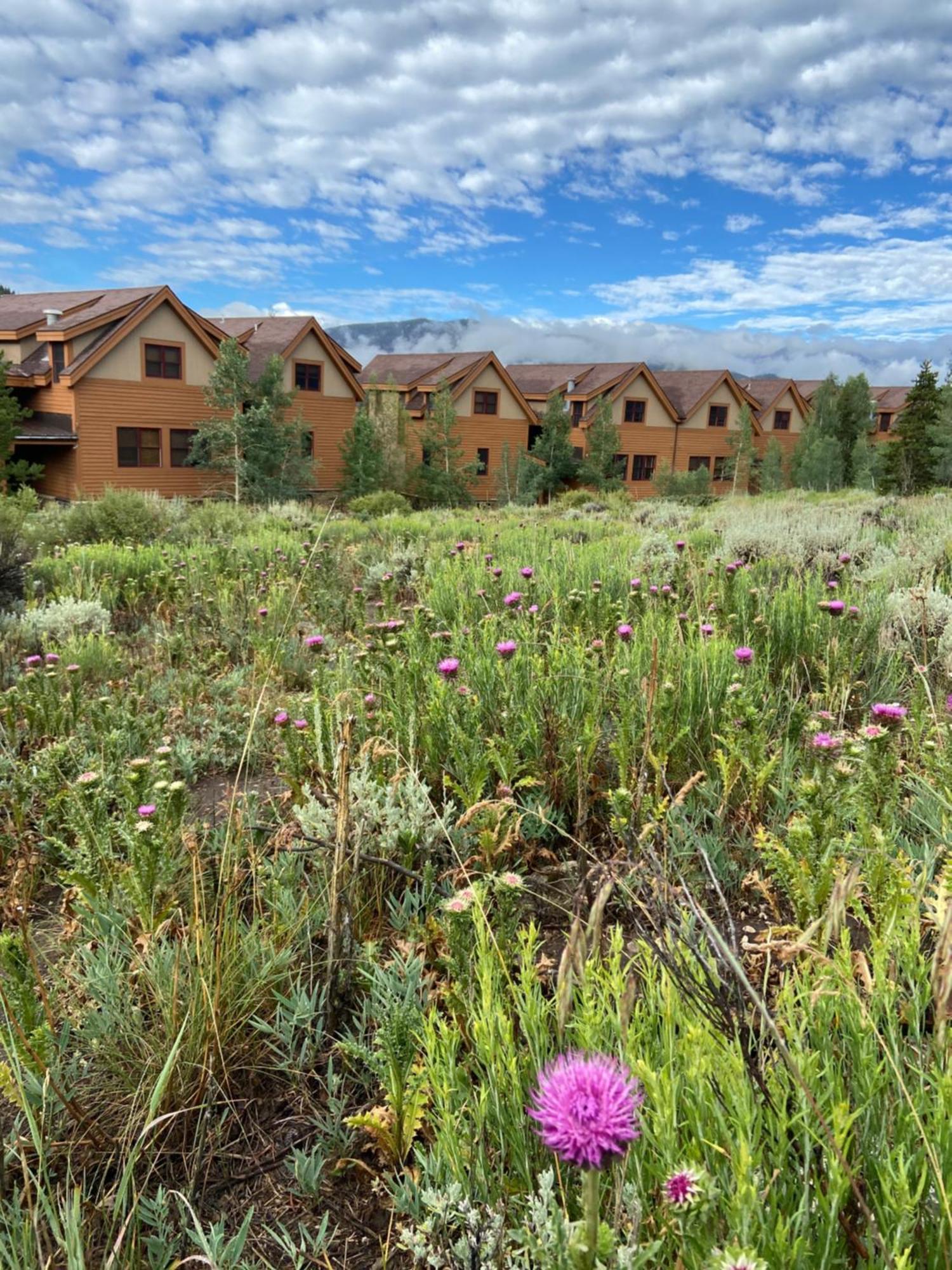 Antlers Gulch 303 By Summitcove Lodging Keystone Exterior foto